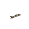 Custom Highend College Design Style Irregular Shaped Souvenir Hard Enamel zinc alloy Lapel Pin